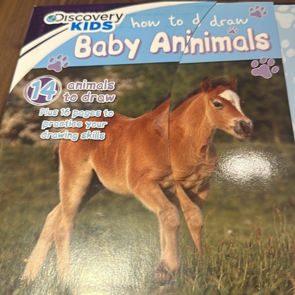 Discovery Kids. Brand new but may not be in perfect condition due to storage. - Picture 3 of 5